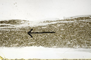 Plane Polarized, S89318