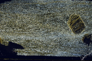 Cross Polarized, S89321