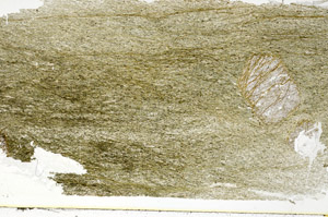 Plane Polarized, S89321
