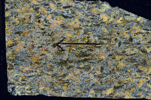 Cross Polarized, S89323
