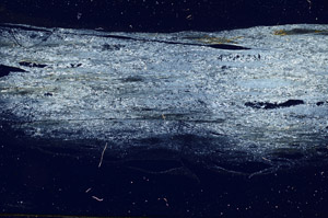Cross Polarized, S89324