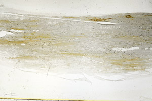 Plane Polarized, S89324