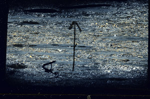Cross Polarized, S89325