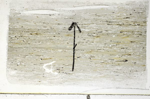 Plane Polarized, S89325