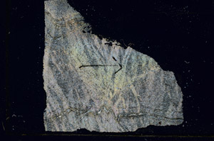 Cross Polarized, S89327