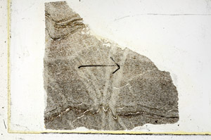 Plane Polarized, S89327