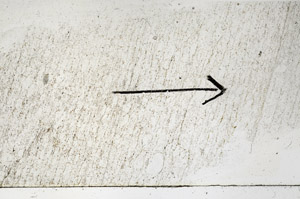 Plane Polarized, S89328