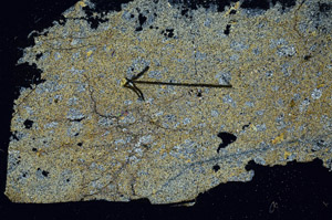 Cross Polarized, S89329