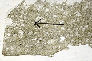 Plane Polarized, S89329