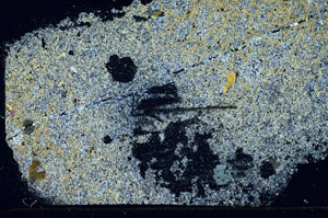 Cross Polarized, S89331