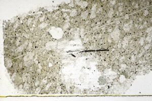 Plane Polarized, S89331