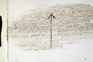 Plane Polarized, S89332