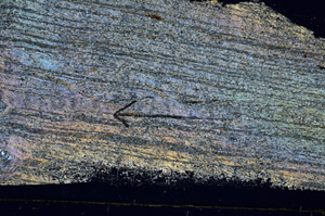 Cross Polarized, S89333