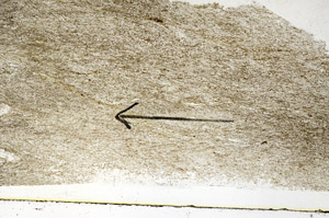Plane Polarized, S89333