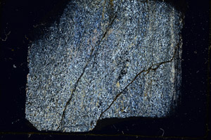 Cross Polarized, S89335