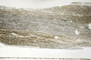 Plane Polarized, S89336