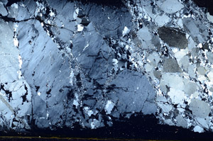 Cross Polarized, S89337