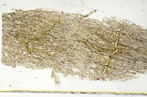Plane Polarized, S89339