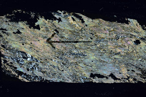 Cross Polarized, S89340