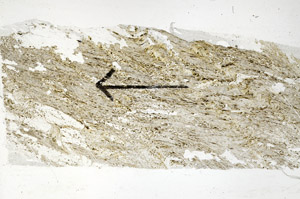 Plane Polarized, S89340