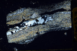 Cross Polarized, S89341