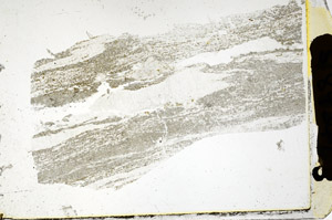 Plane Polarized, S89341