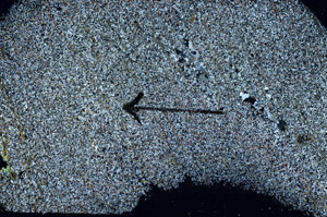 Cross Polarized, S89343