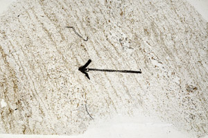 Plane Polarized, S89343