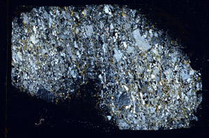 Cross Polarized, S89348