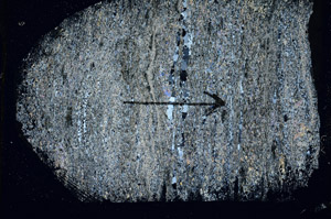 Cross Polarized, S89349
