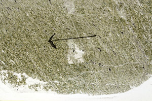 Plane Polarized, S89351