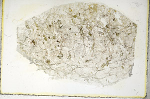 Plane Polarized, S89353