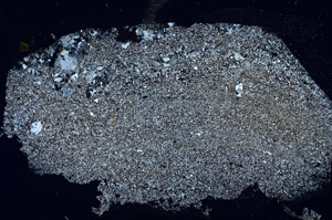 Cross Polarized, S89355