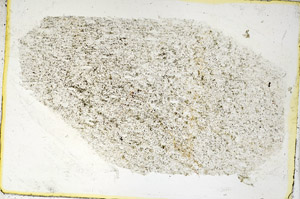 Plane Polarized, S89361