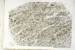 Plane Polarized, S89363