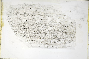Plane Polarized, S89364
