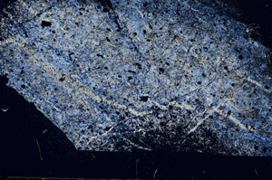 Cross Polarized, S89372