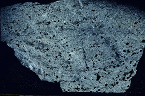 Cross Polarized, S89374