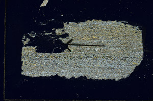 Cross Polarized, S89376