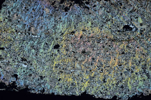 Cross Polarized, S89380