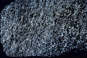 Cross Polarized, S89382
