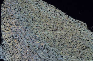 Cross Polarized, S89386