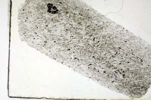 Plane Polarized, S89387