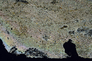 Cross Polarized, S89390