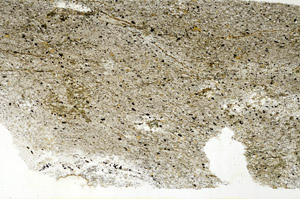 Plane Polarized, S89390