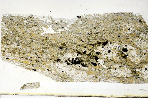 Plane Polarized, S89391