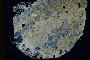 Cross Polarized, S89392