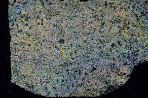 Cross Polarized, S89393