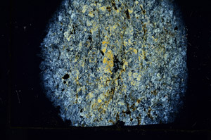 Cross Polarized, S89395