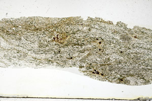 Plane Polarized, S89399
